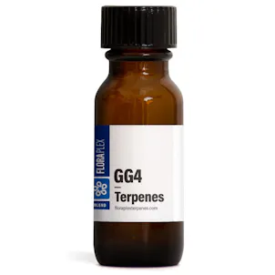 Photo of Original Glue (GG)